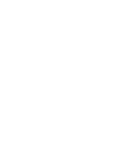 diepro logo alt wht icon